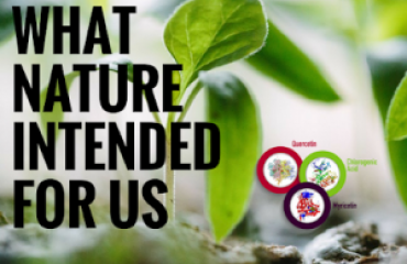 Emulin natural bloog sugar controll